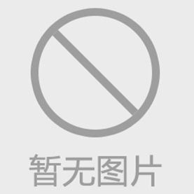 环链斗式提升机特点及工作原理